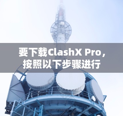 要下载ClashX Pro,按照以下步骤进行 要下载ClashX Pro,按照以下步骤进行